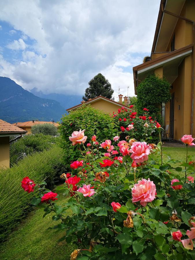 Bellagio Lake View Villa Oliveto Lario Exterior foto